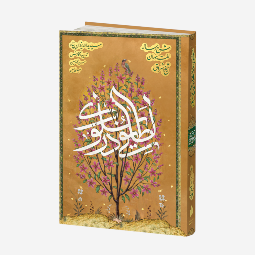 لطایفی در سلوک لطایفی در سلوک